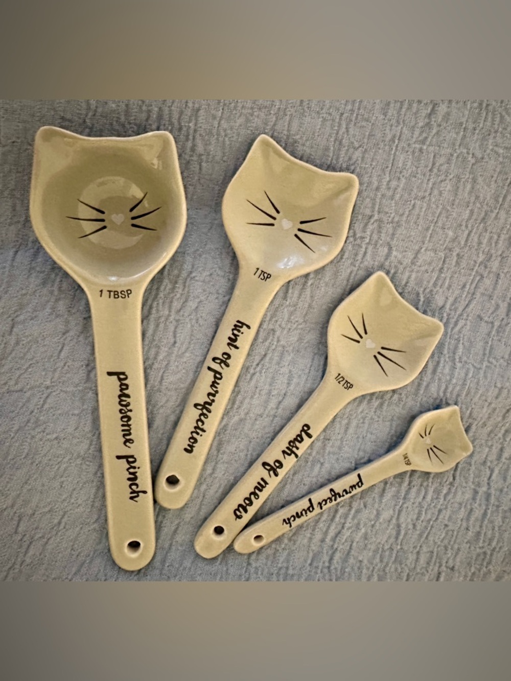 Cat-Themes Ceramic Measuring Spoon Set - Gray